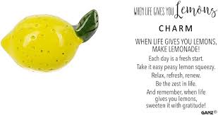 When Life Gives You Lemons Charm