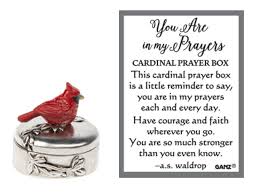 You Are In My prayers Cardinal Box