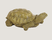 ASC XL Turtle Animal Spitter