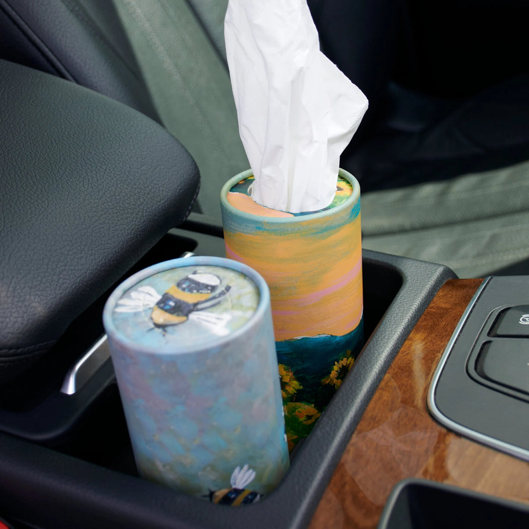 PBK Car Tissues Assorted