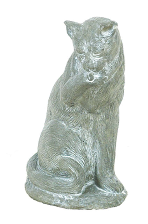 ASC Small Cat Licking Paw