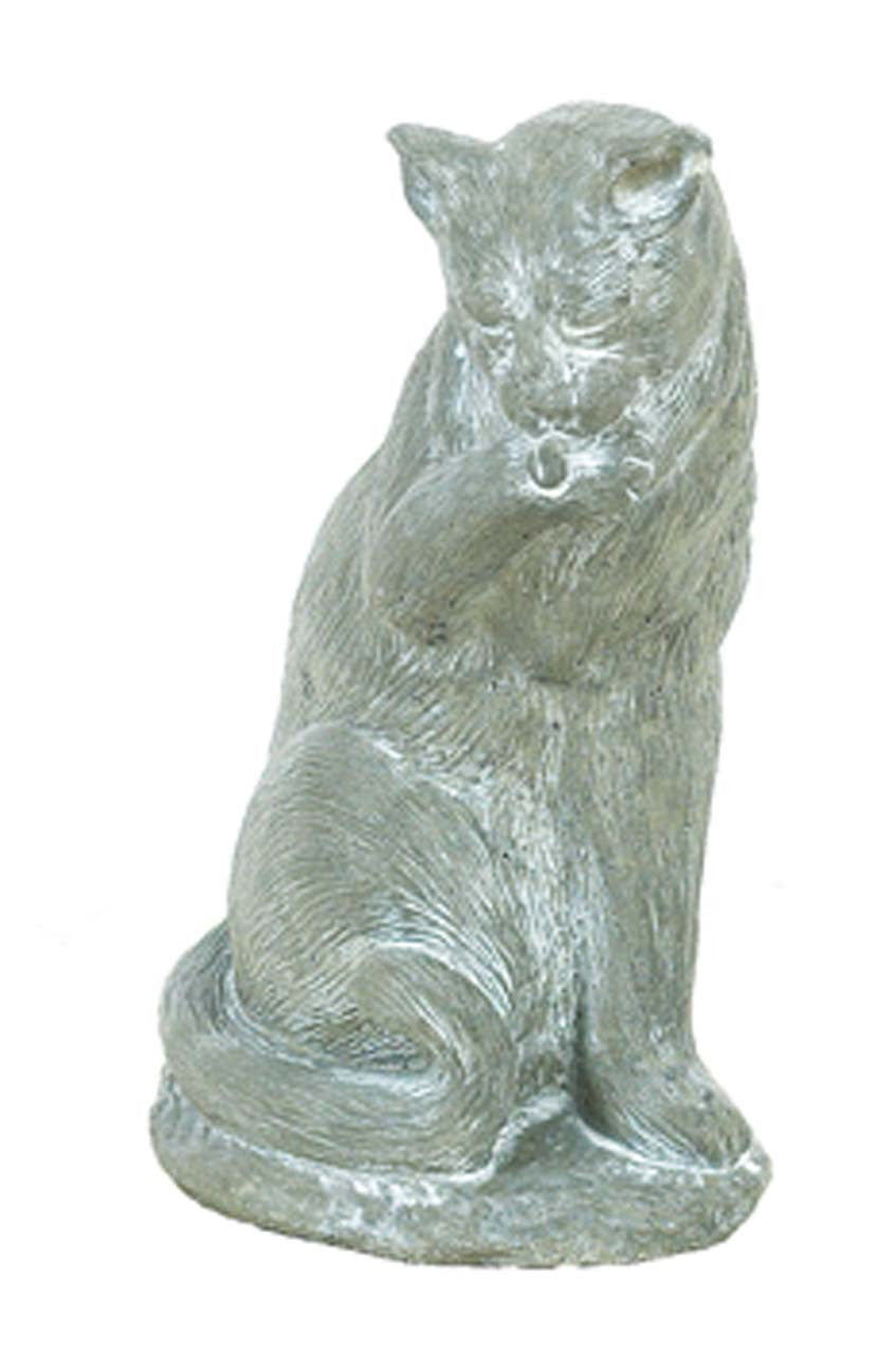 ASC Small Cat Licking Paw
