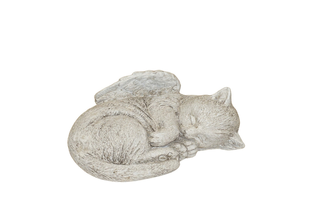 ASC Cat Memorial