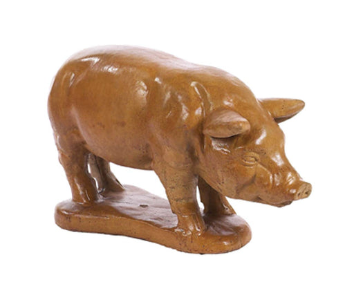 ASC Pot Belly Pig