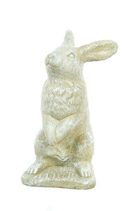 ASC Begging Rabbit