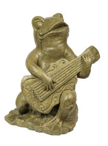 ASC Frog Playing Guitar