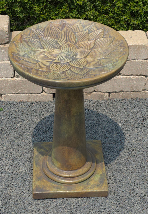 H Hosta Birdbath
