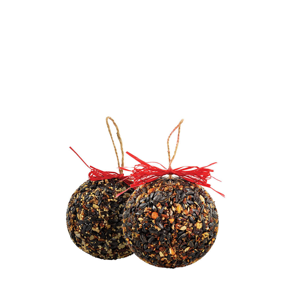 Mr. Bird Seed & Nut Ornaments