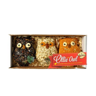 Ollie the Owl