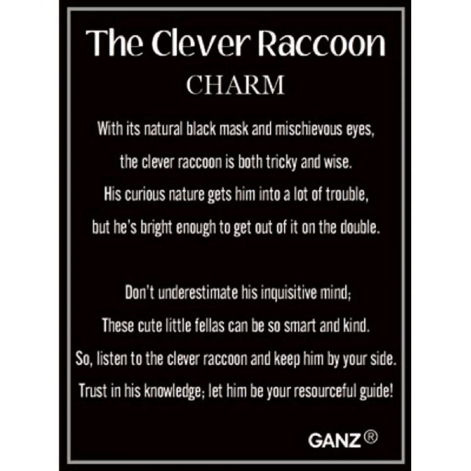 Ganz The Clever Racoon