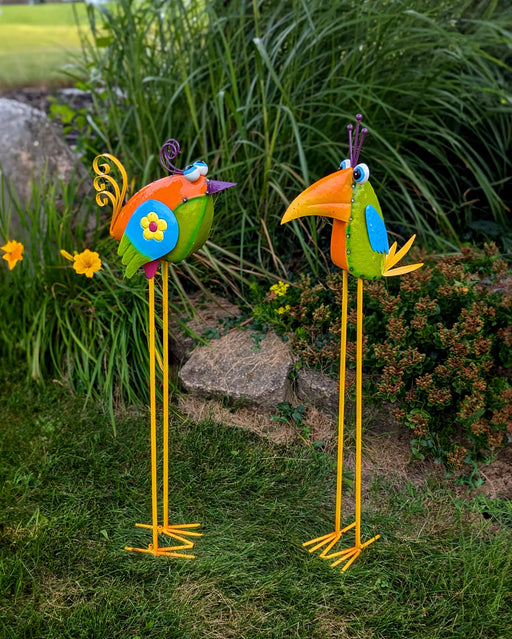 Assorted Goofy Birds - MH