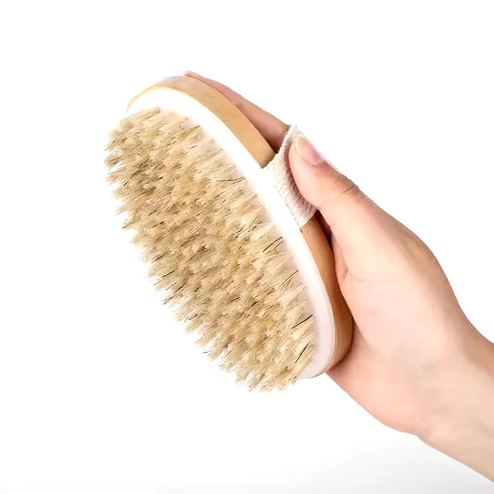 Birdbath Dry Body Brush