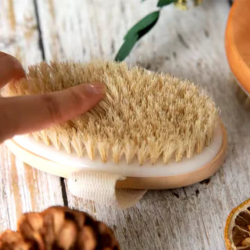 Birdbath Dry Body Brush