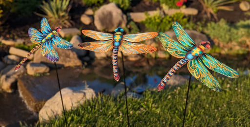 Assorted Dragonfly Stakes- MH
