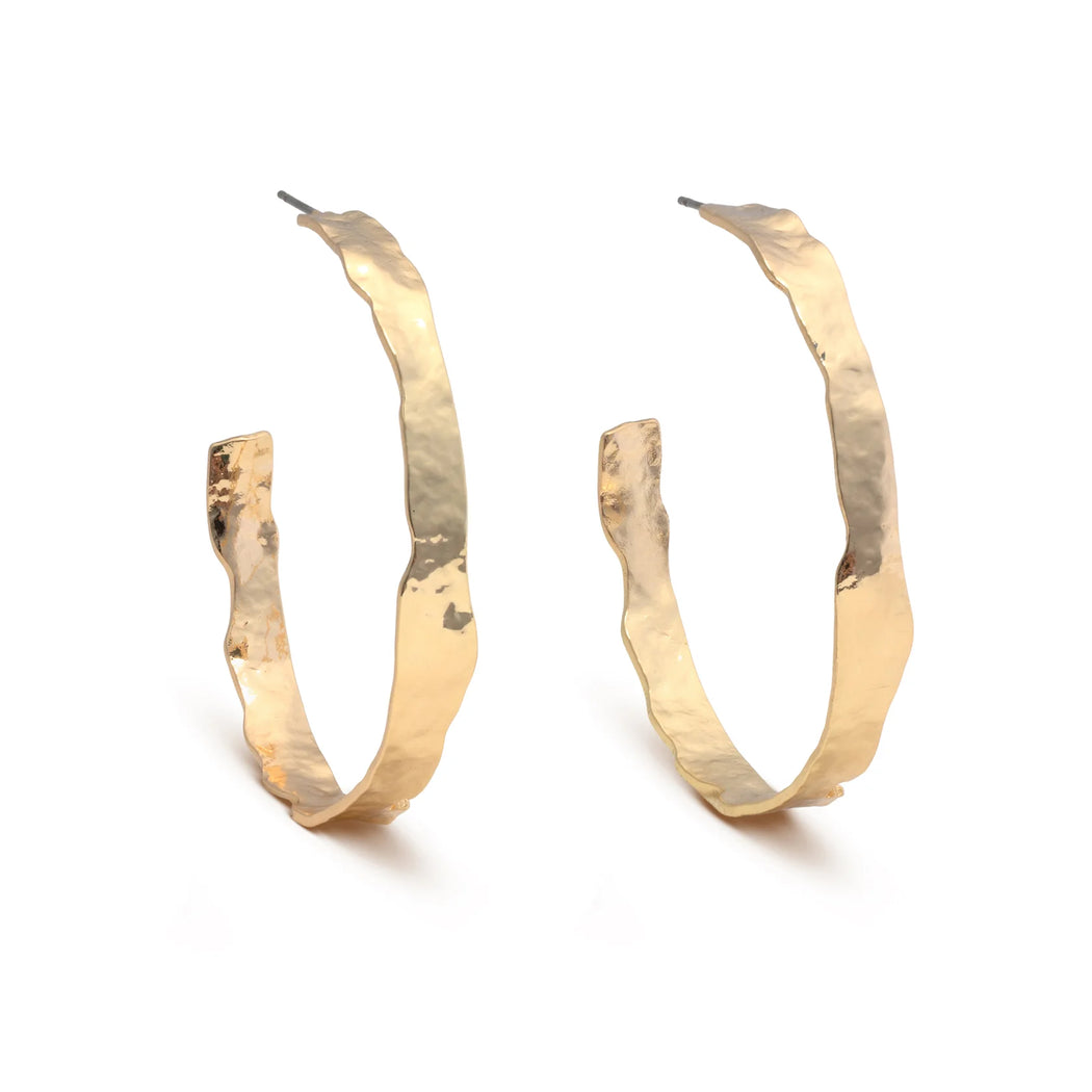 Leslie Curtis Wendy Hoops