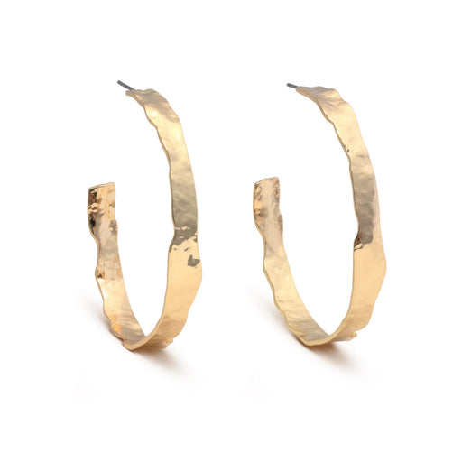 Leslie Curtis Wendy Hoops