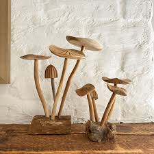 Teak Wood Mushroom Cluster