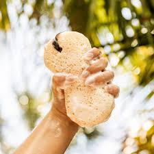 Bridgewater Sweet Grace Body Wash Sponge