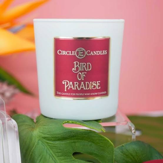 Circle E Candle Bird of Paradise