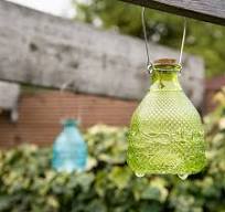 Wasp Trap Hobnail Glass - Esschert