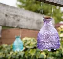 Wasp Trap Hobnail Glass - Esschert