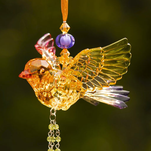 Acrylic Hummingbird and Robin Suncatchers - ZAER
