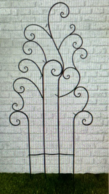 Scroll Trellis