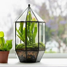Glass Terrarium - SM
