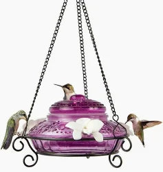 Antique Top-Fill Hummingbird Feeder Plum - NW
