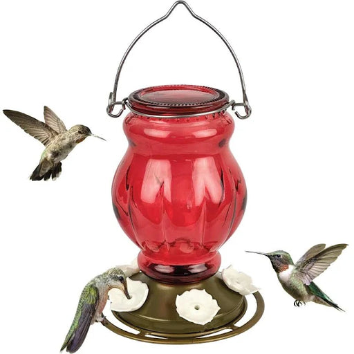 Ruby Vision Antique Glass Hummingbird Feeder