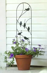 Perched Bird Pot Trellis Black - Pan