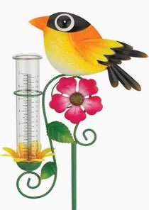 Bird Rain Gauges