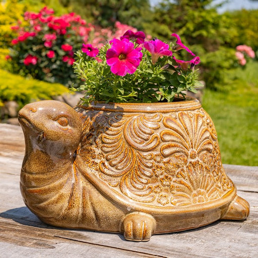 Turtle Planter