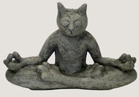 ASC Meditating Cat