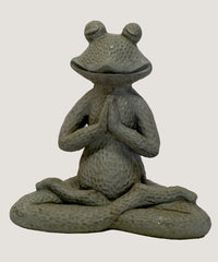 ASC Yoga Frog