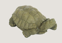 ASC XL Snapping Turtle