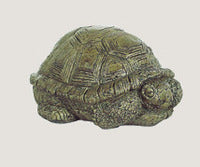 ASC Med Sleeping Turtle