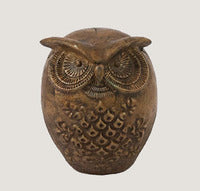 ASC Wise Owl