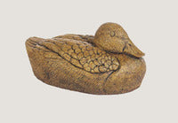 ASC Feathered Duck