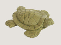 ASC Small Sea Turtle