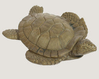 ASC Med Sea Turtle