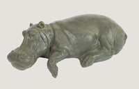 ASC Hippo Laying
