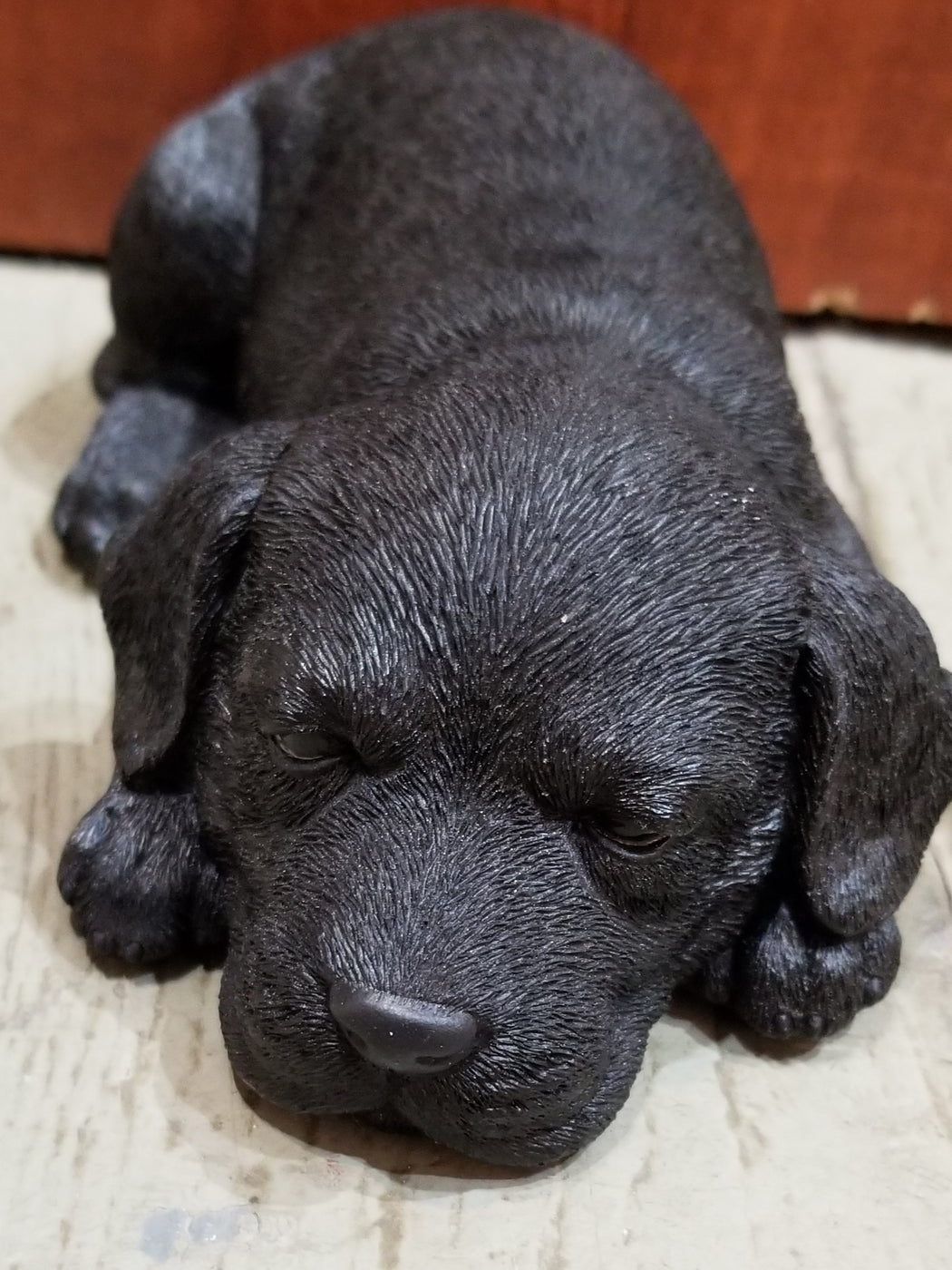 Sleeping Black Lab Puppy