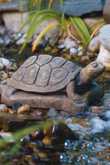 Massarelli 6" Water Turtle
