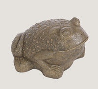 ASC Large Frog Fountain Spitter