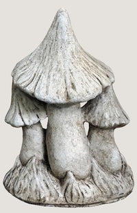 ASC Small Pointed Mushrooms
