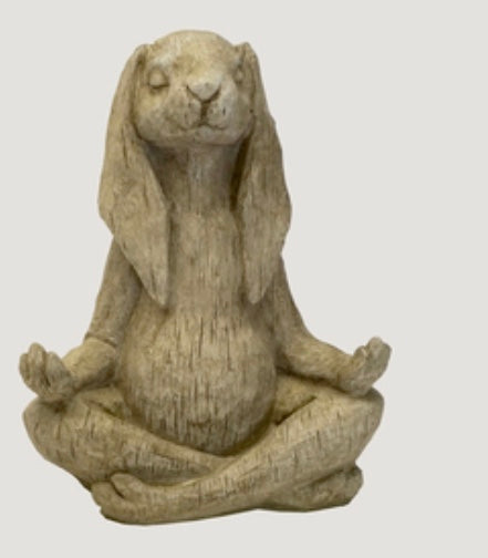 ASC Yoga Rabbit