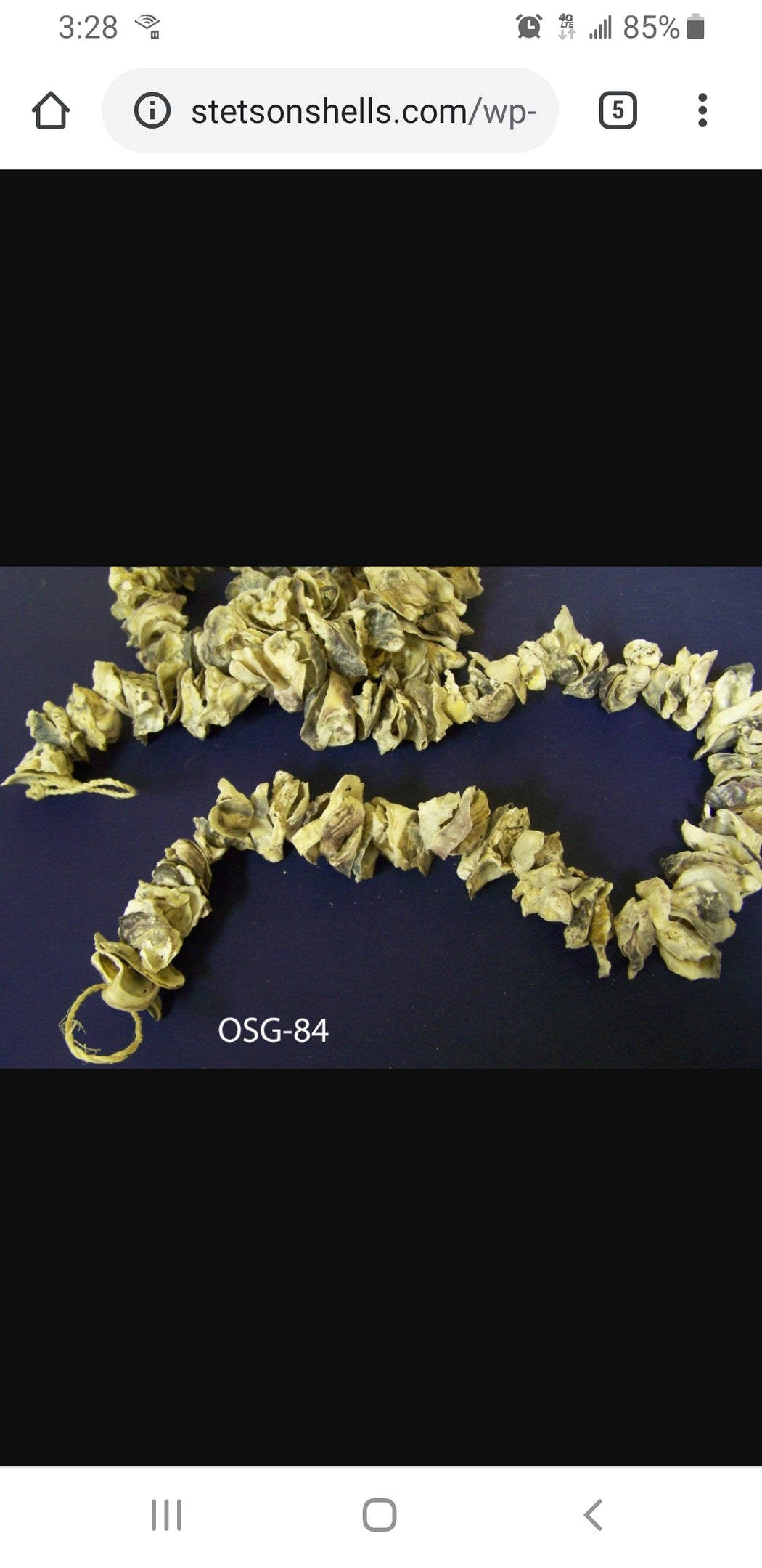 WS Oyster Shell Garland