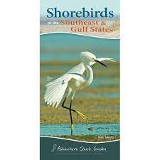Shorebirds Of The Southeast & Gulf States