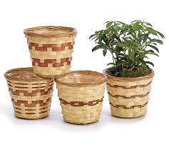 BB 4" Bamboo Basket